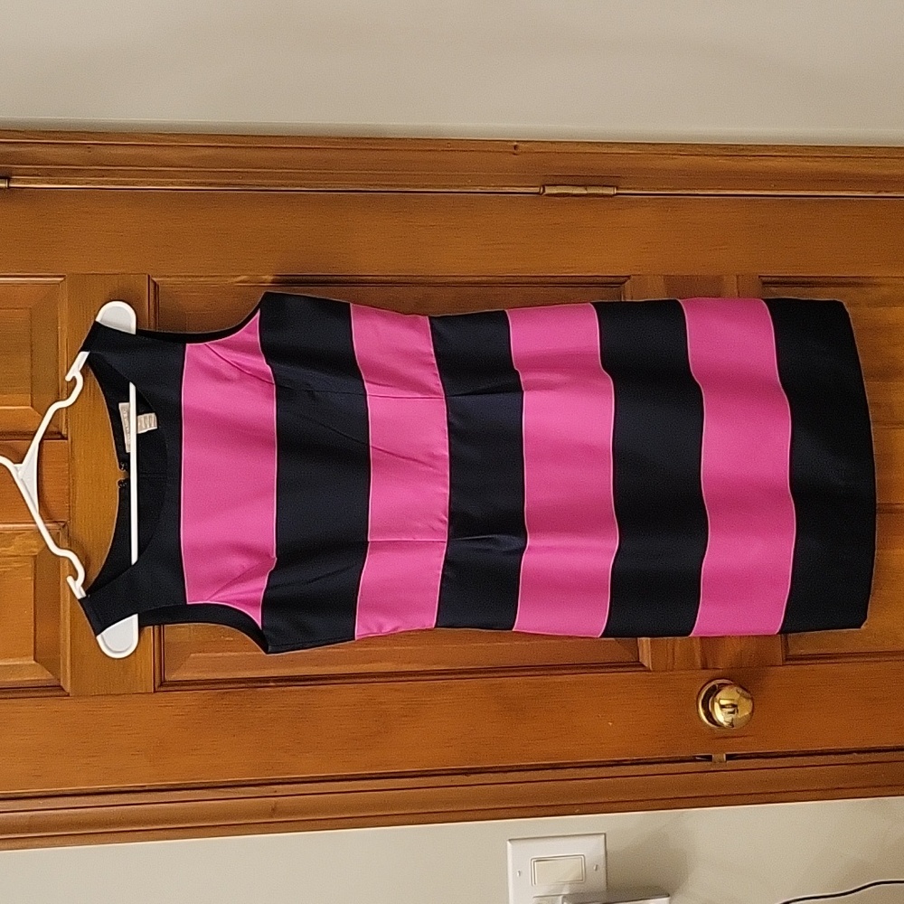 Banana Republic Dress Size 8